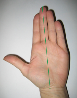Palm_Length.png